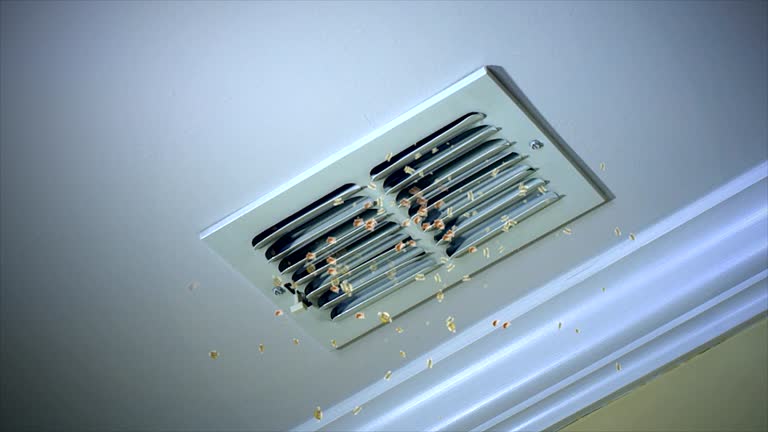 Best HVAC Duct Inspection Services  in Linda, CA